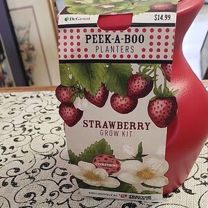 Strawberry Grow Kit - Red